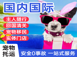 金湾航空快递国际宠物托运 【国